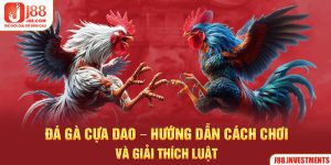 Đá Gà Cựa Dao - Hướng Dẫn Cách Chơi Và Giải Thích Luật