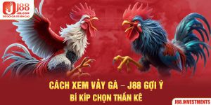 Cách Xem Vảy Gà - J88 Gợi Ý Bí Kíp Chọn Thần Kê