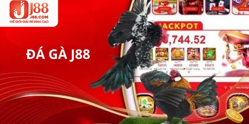 Hướng dẫn cụ thể cách cá độ đá gà tại J88