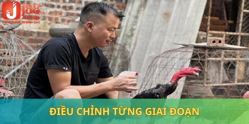 Điều chỉnh cơ chế tập luyện, chăm sóc trong từng giai đoạn khác nhau