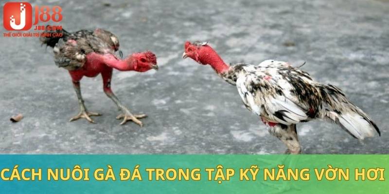Tập luyện kỹ năng vờn hơi nhằm nâng cao thể lực