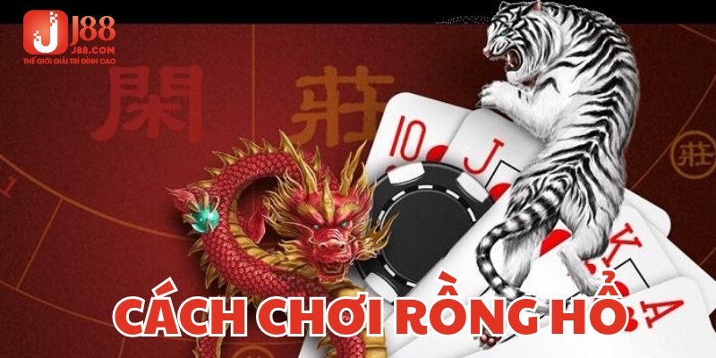Quy luật cơ bản nhất trong cách chơi rồng hổ 